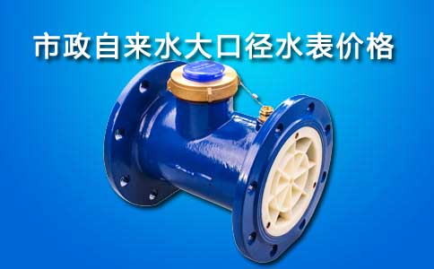 自来水大口径水表价格