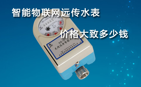 智能物联网远传水表