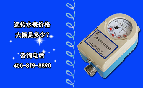 远传水表价格大概是多少？
