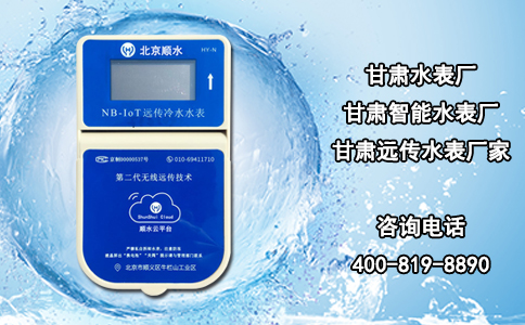 甘肃水表厂，甘肃智能水表厂，甘肃远传水表厂家