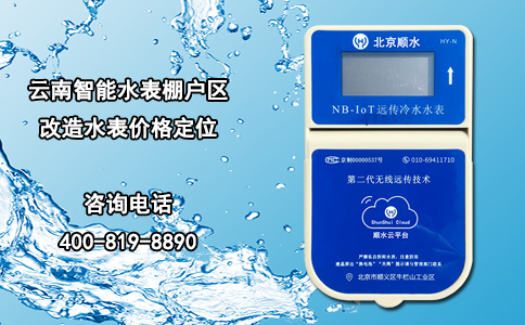 云南智能水表棚户区改造水表价格定位